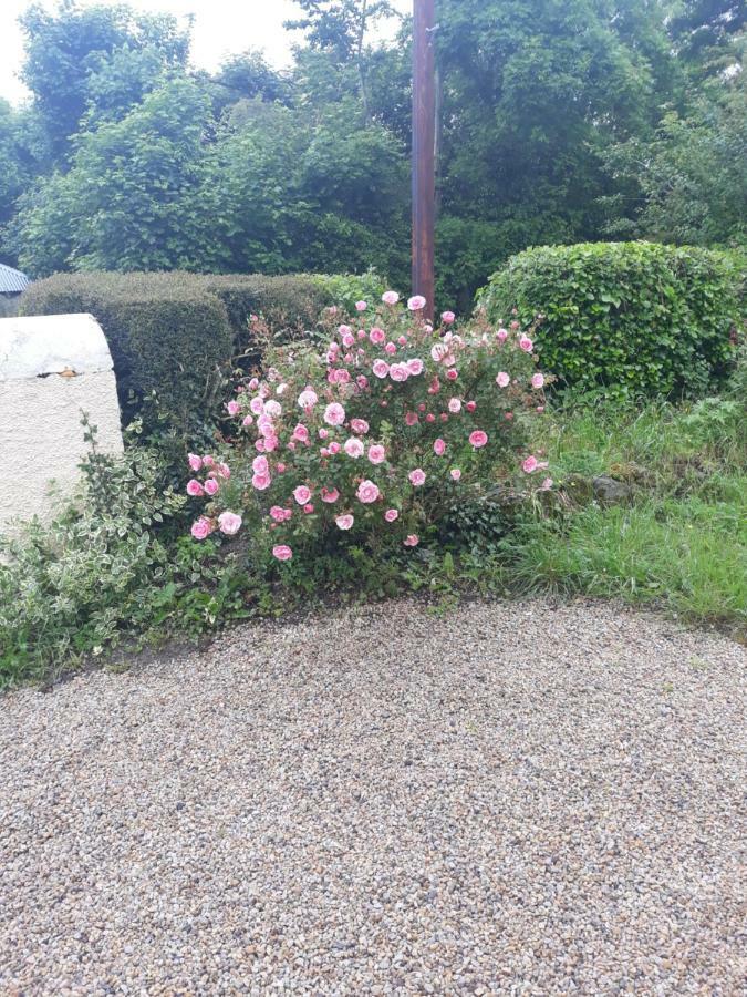 Katie'S Cottage Cashel  Buitenkant foto